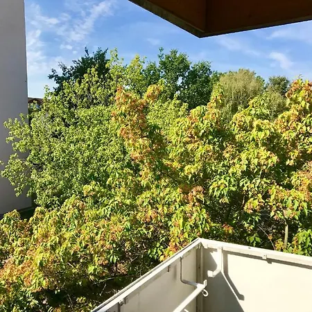 דירה Big Dream *